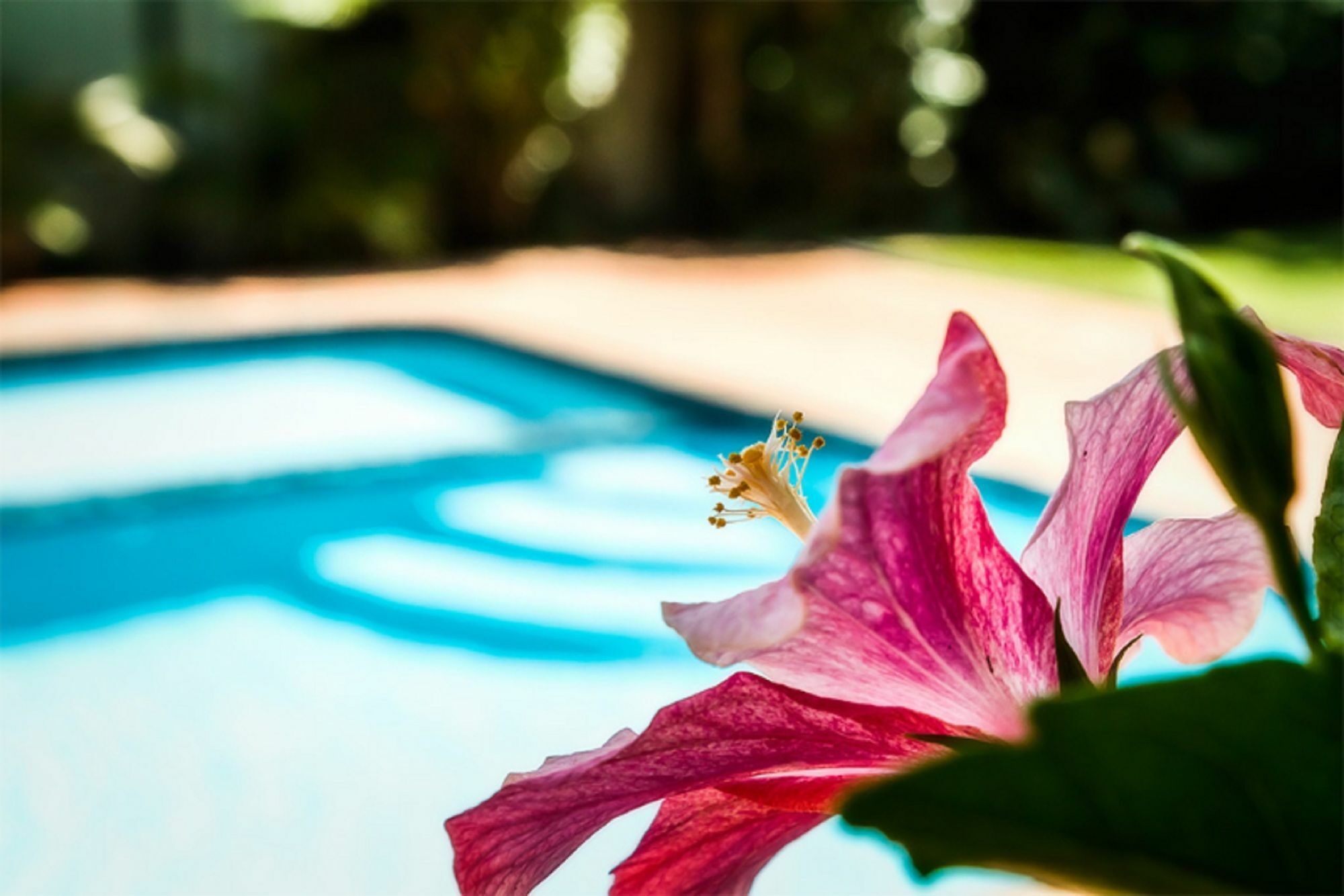 Coffs Harbour Holiday Apartments Экстерьер фото